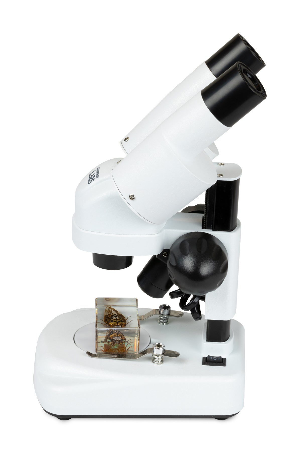 Celestron Labs S20 Stereo Mikroskop 20x LED abgewinkelt