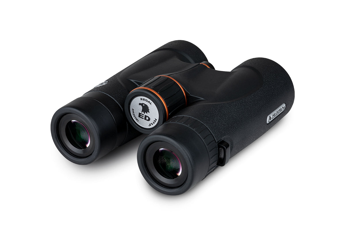 Celestron Regal ED 10x42 Fernglas Dachkant ED-Glas