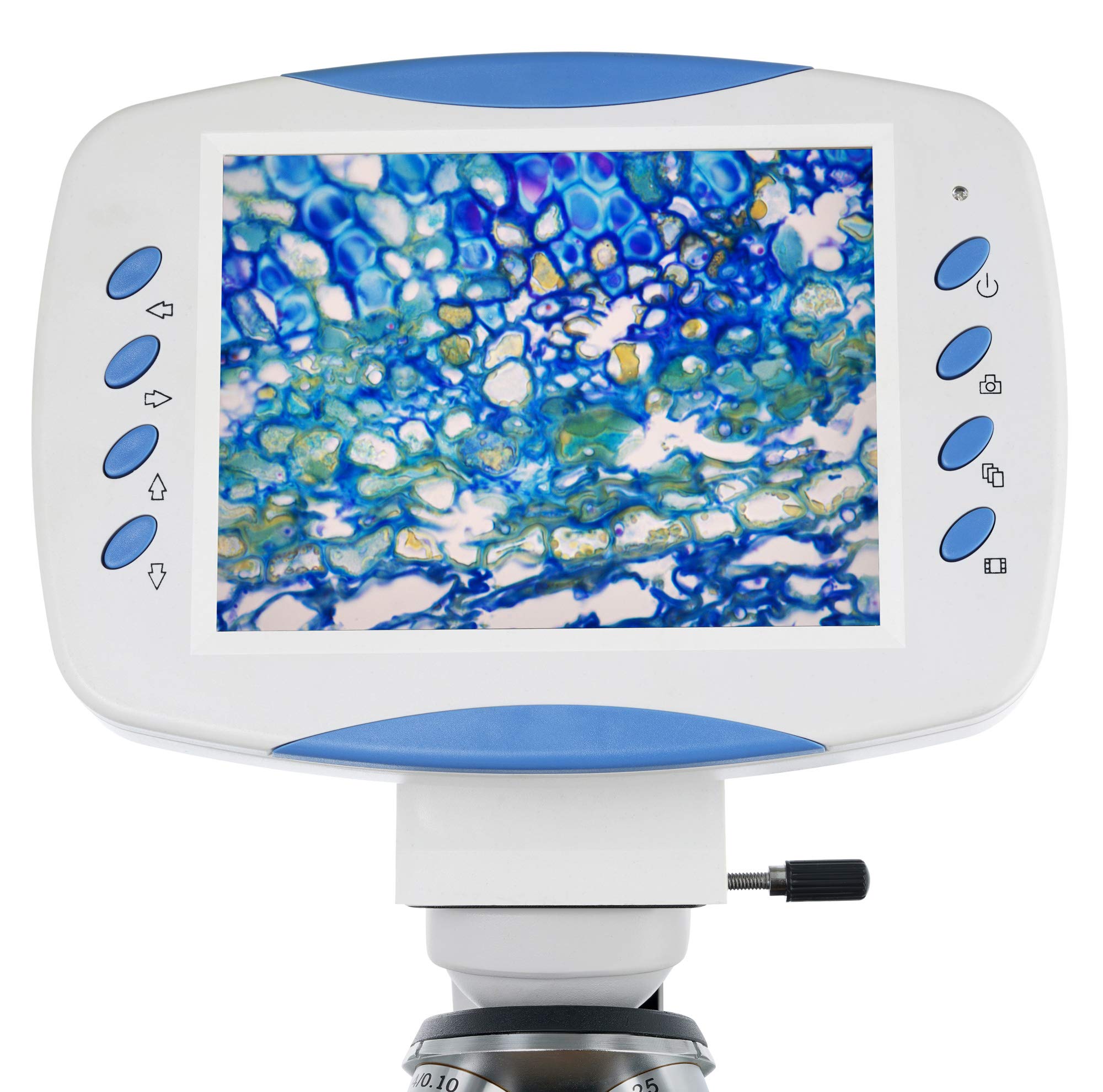 Levenhuk D80L LCD Digitalmikroskop 40x-1600x mit 2-MP-Kamera