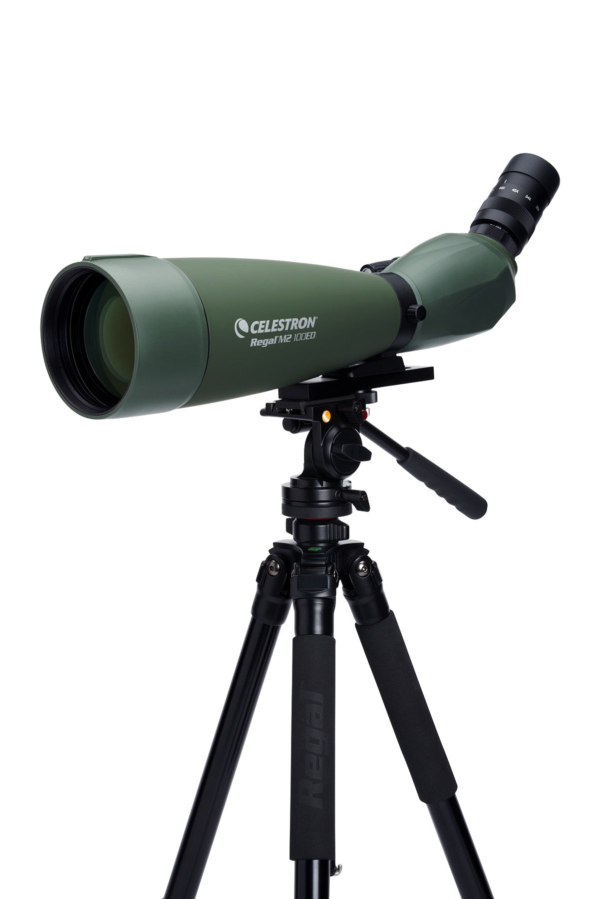 Celestron Regal M2 22-67x100 ED Spektiv Gebraucht Abgewinkelt