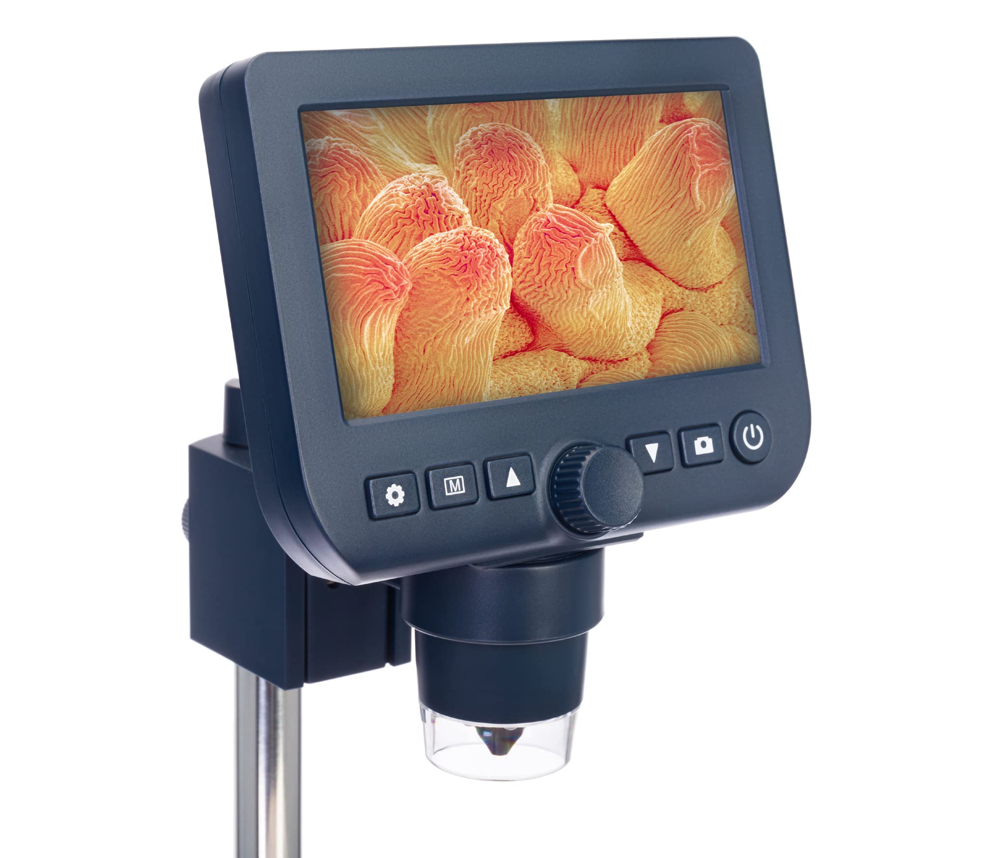 Discovery Artisan 64 Digitalmikroskop 20-300x Display
