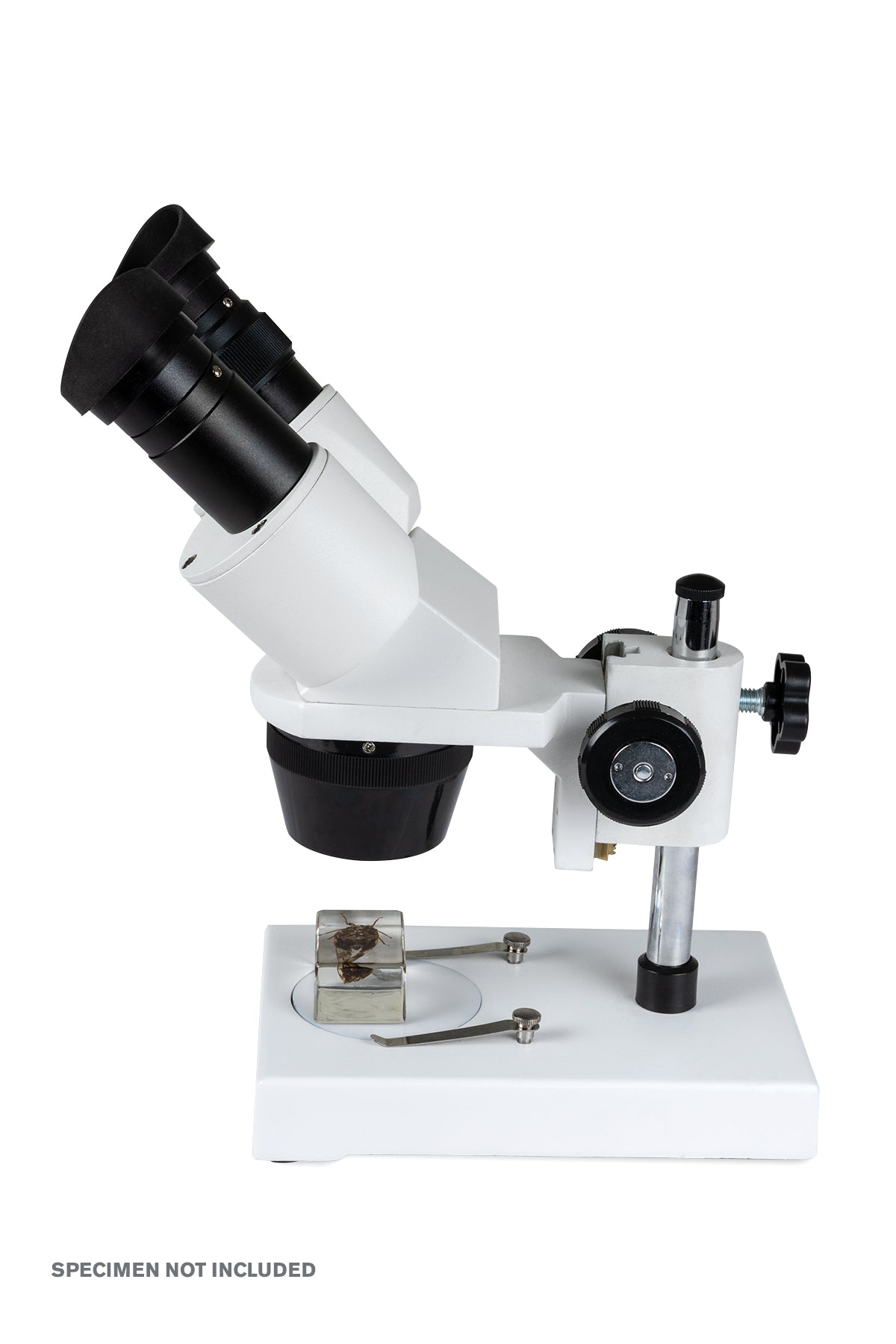 Celestron Labs S1030N Stereo-Mikroskop 10x 30x