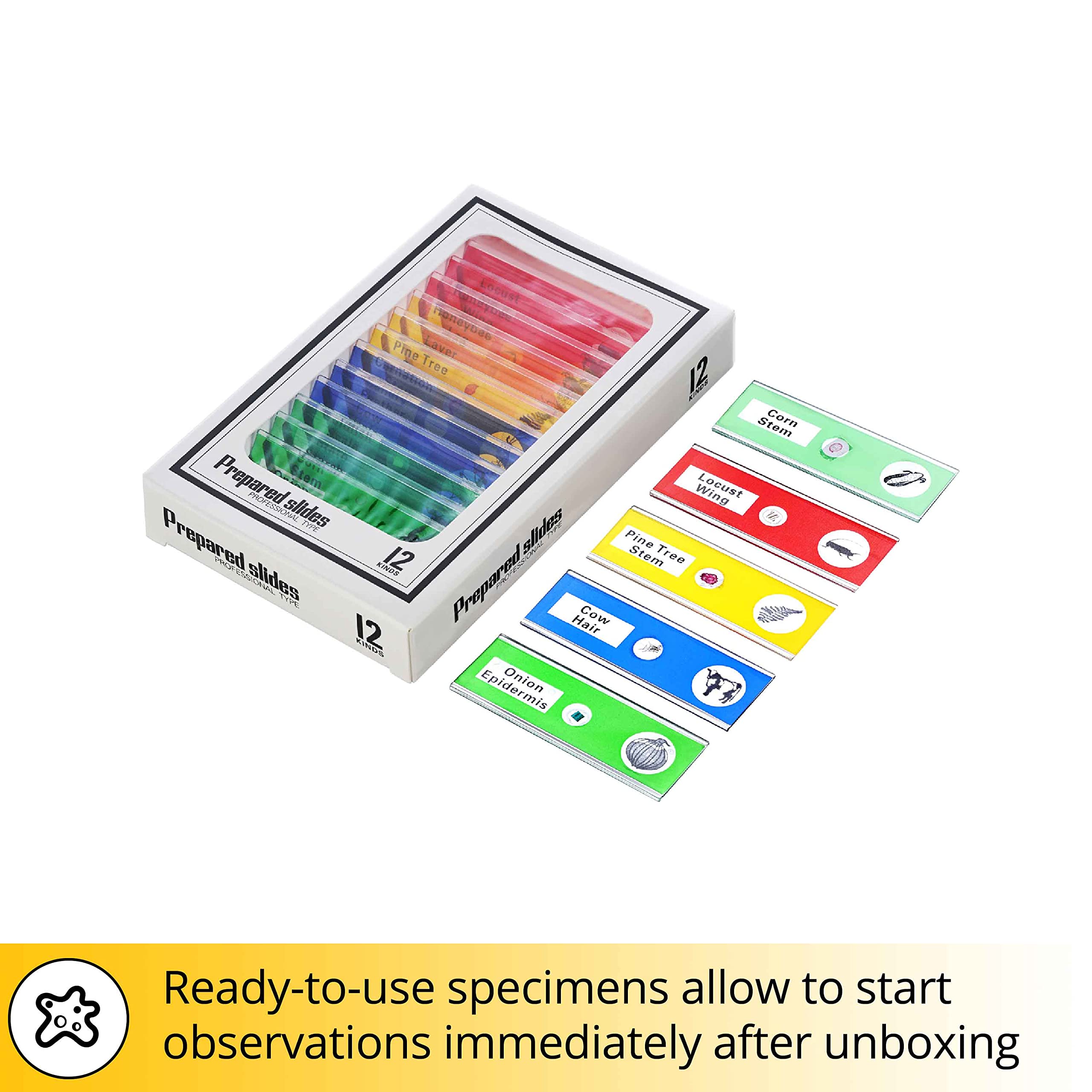 Levenhuk Rainbow DM500 LCD Kindermikroskop 7x-200x