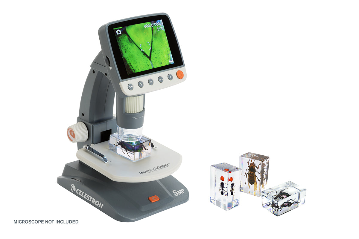 Celestron Labs 3D Insekten-Präparate Set #5 Harz 4 Stk.