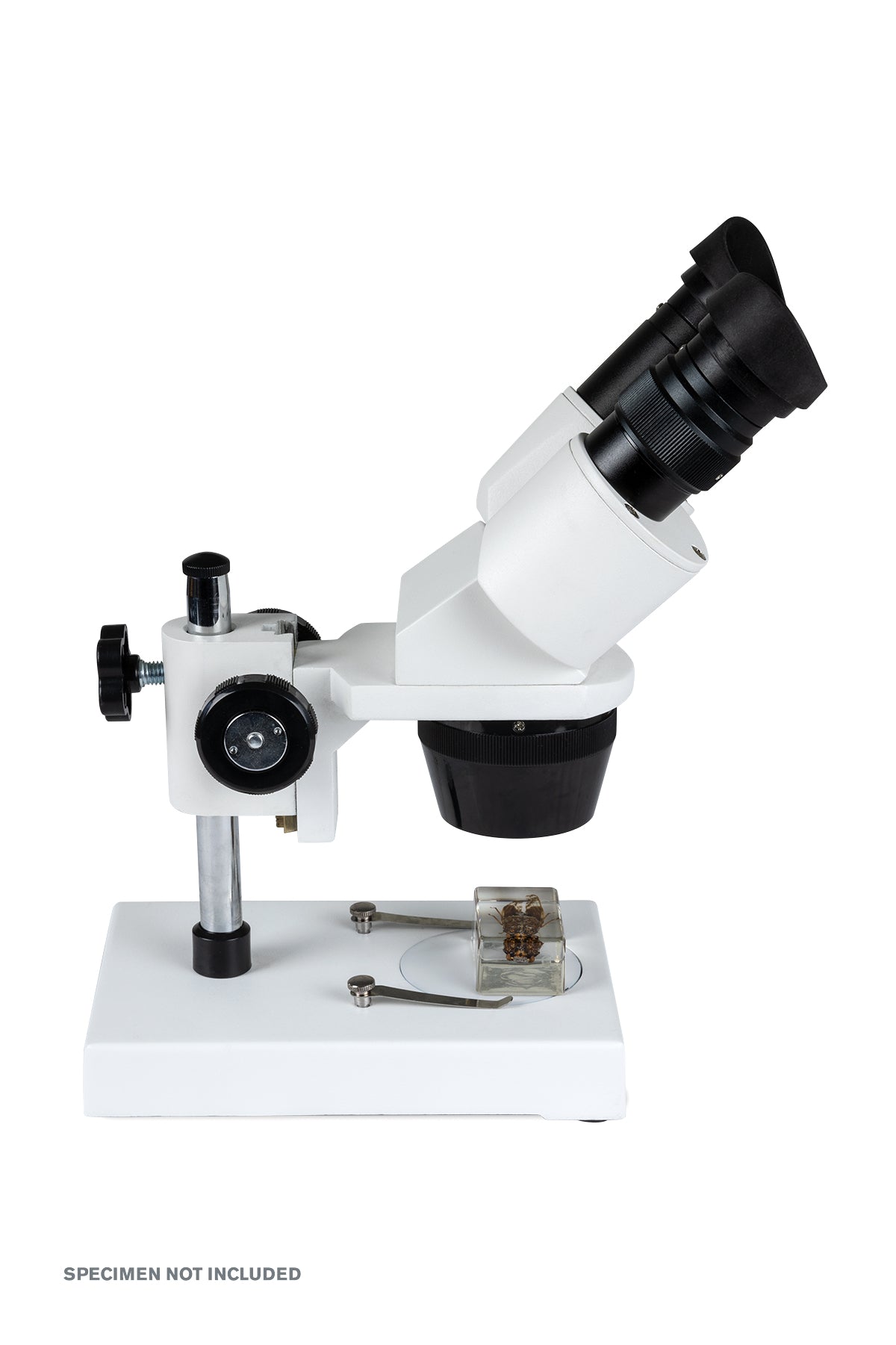 Celestron Labs S1030N Stereo-Mikroskop 10x 30x