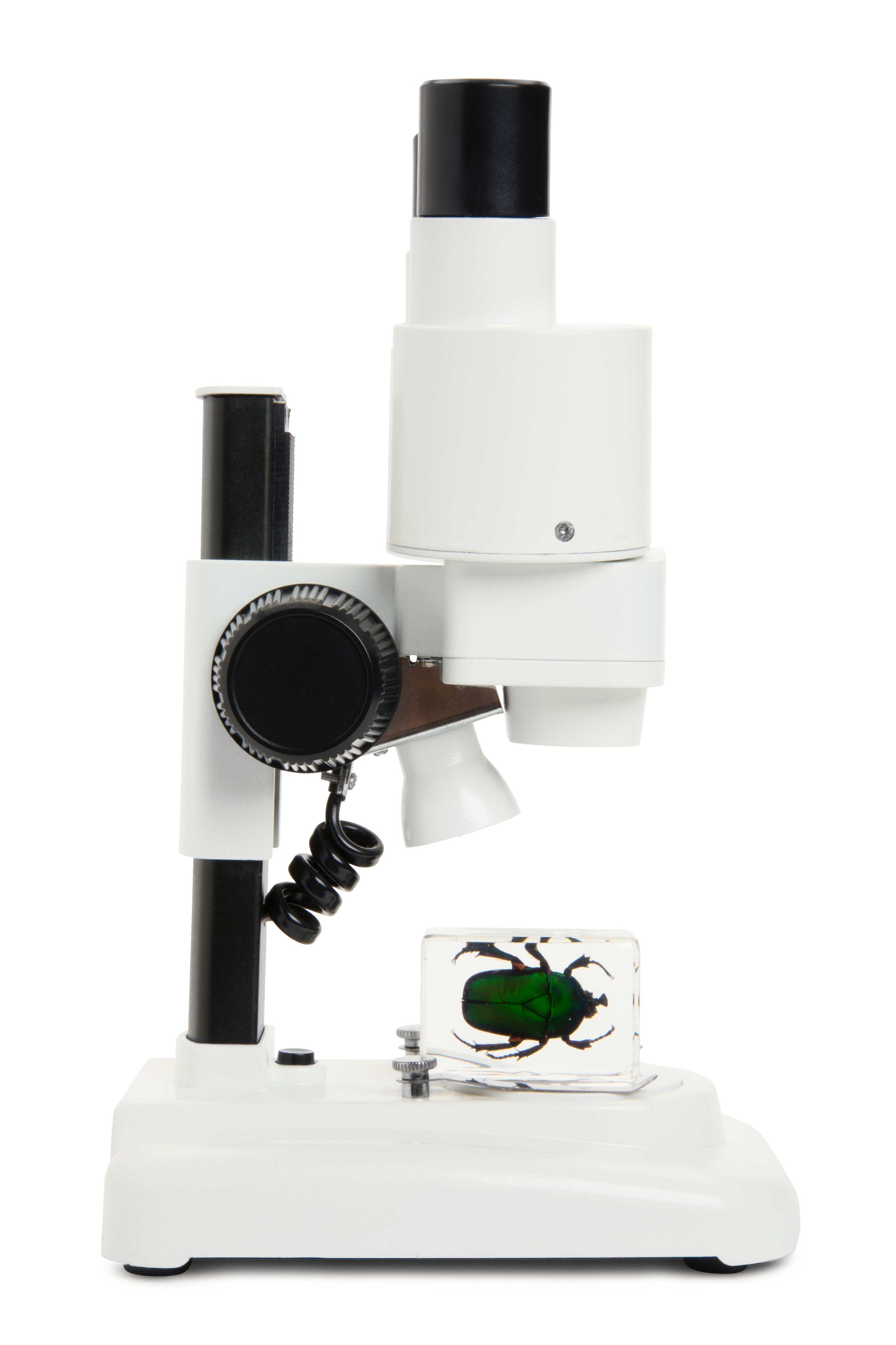 Celestron Labs S20 Stereo Mikroskop 20x LED Binokular