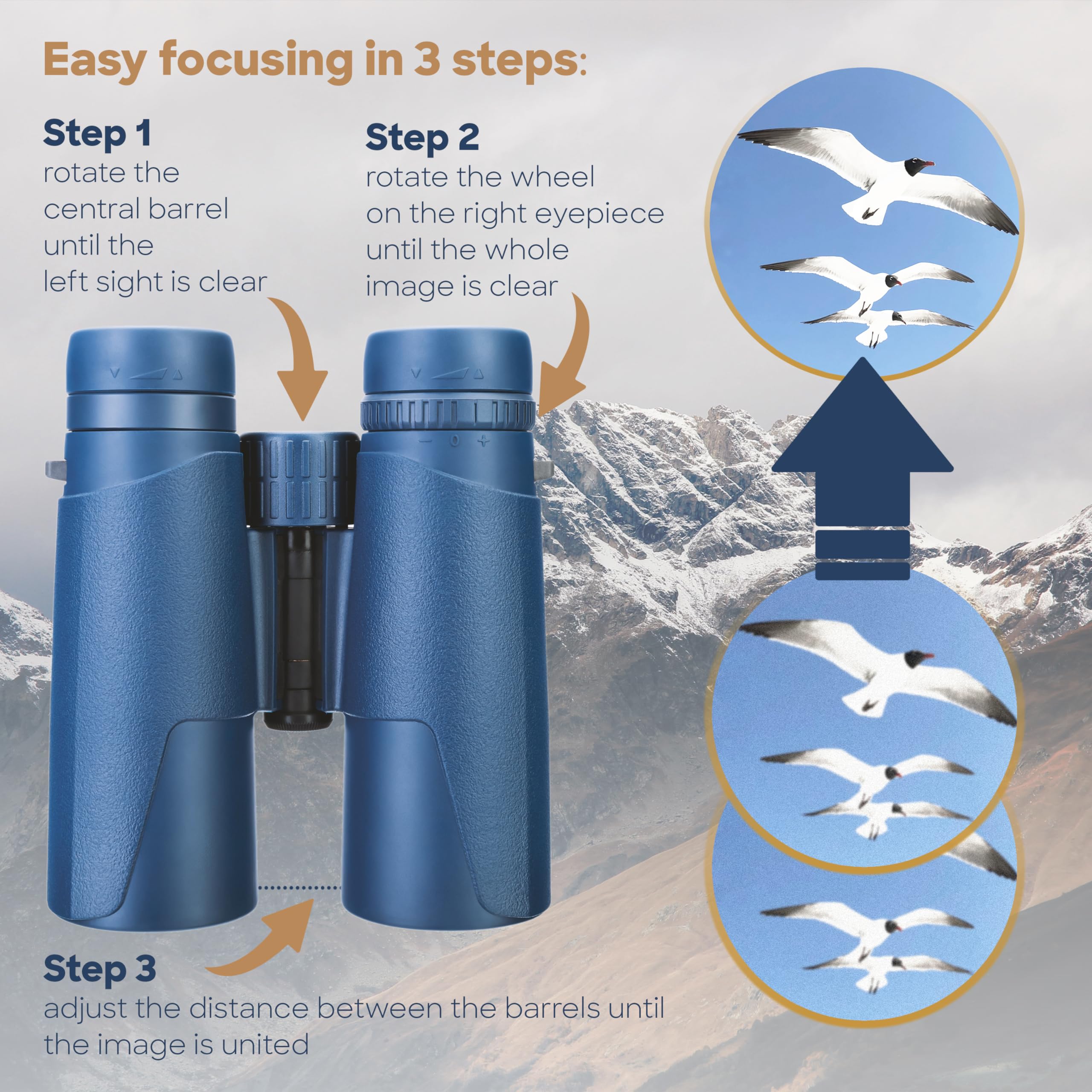 Discovery Elbrus 10x42 Fernglas kompakt mit Tasche