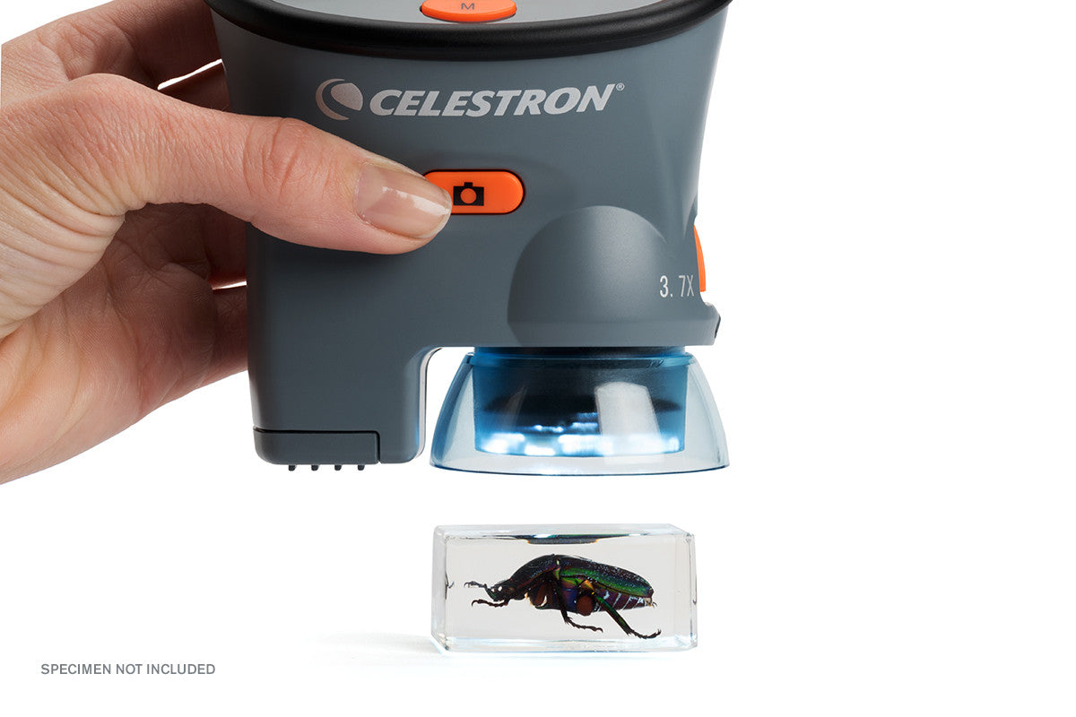 Celestron Labs LCD Handmikroskop digital 54x 3MP