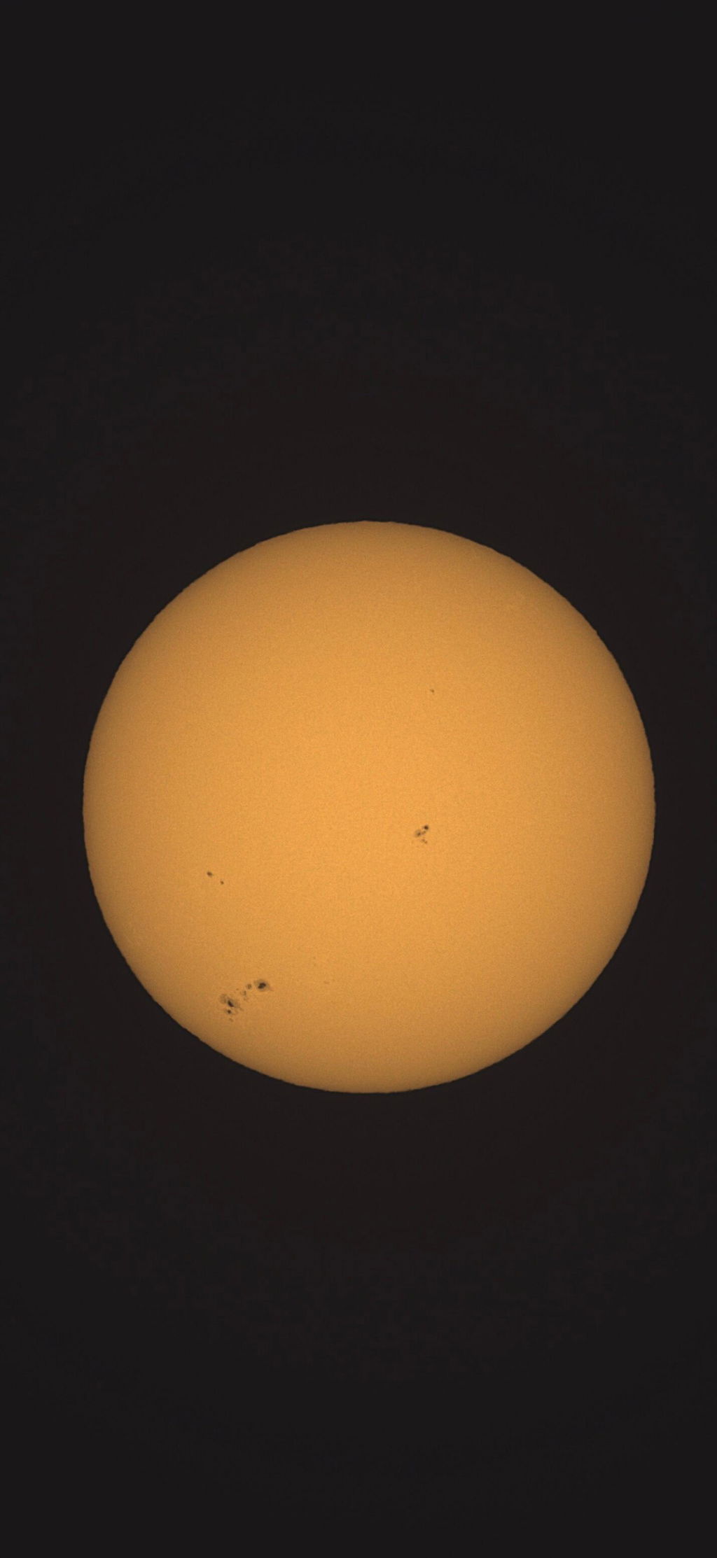 Vaonis Vespera Sonnenfilter Solar Filter Glas