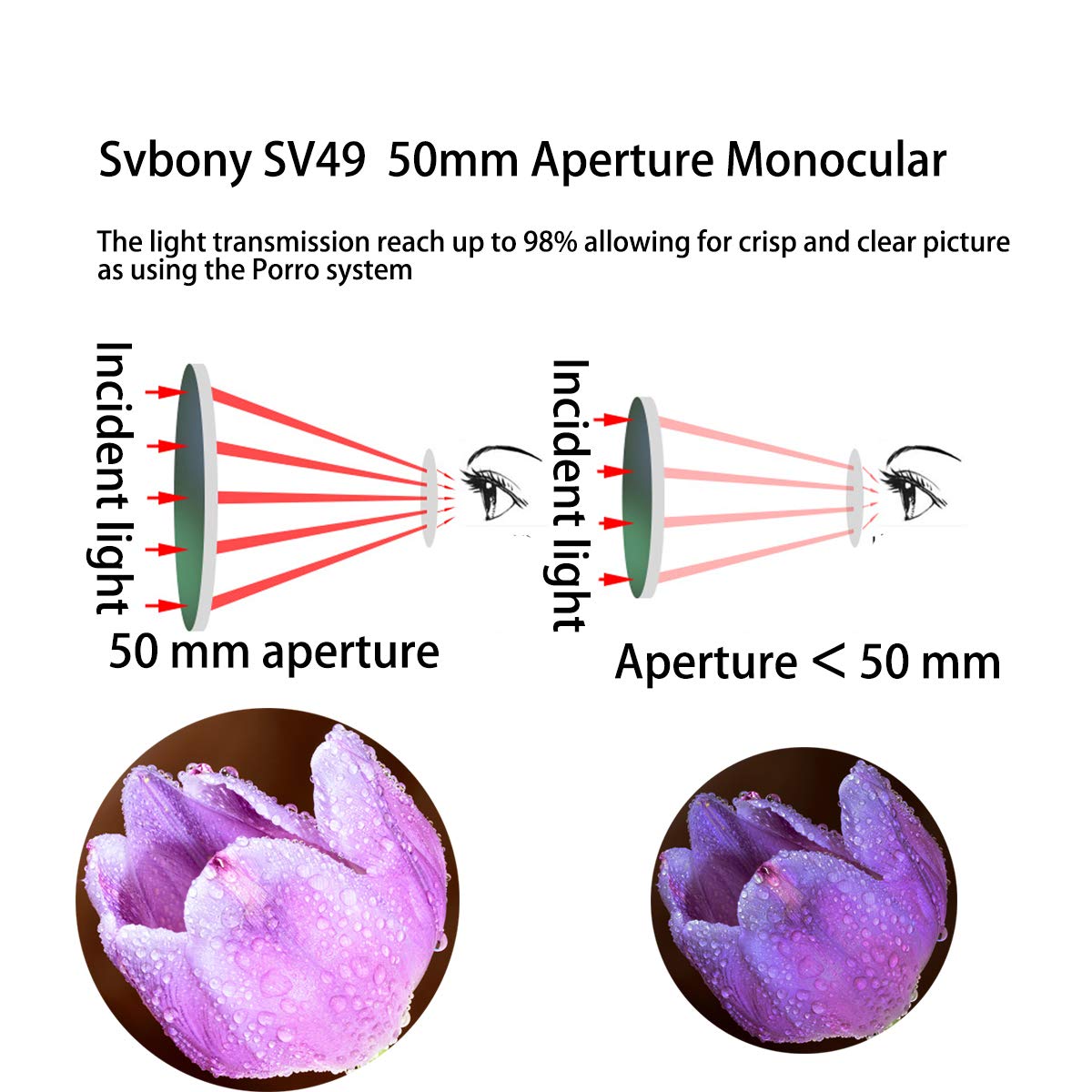 SVBONY SV49 Monokular 13x50 wasserdicht für Vogelbeobachtung