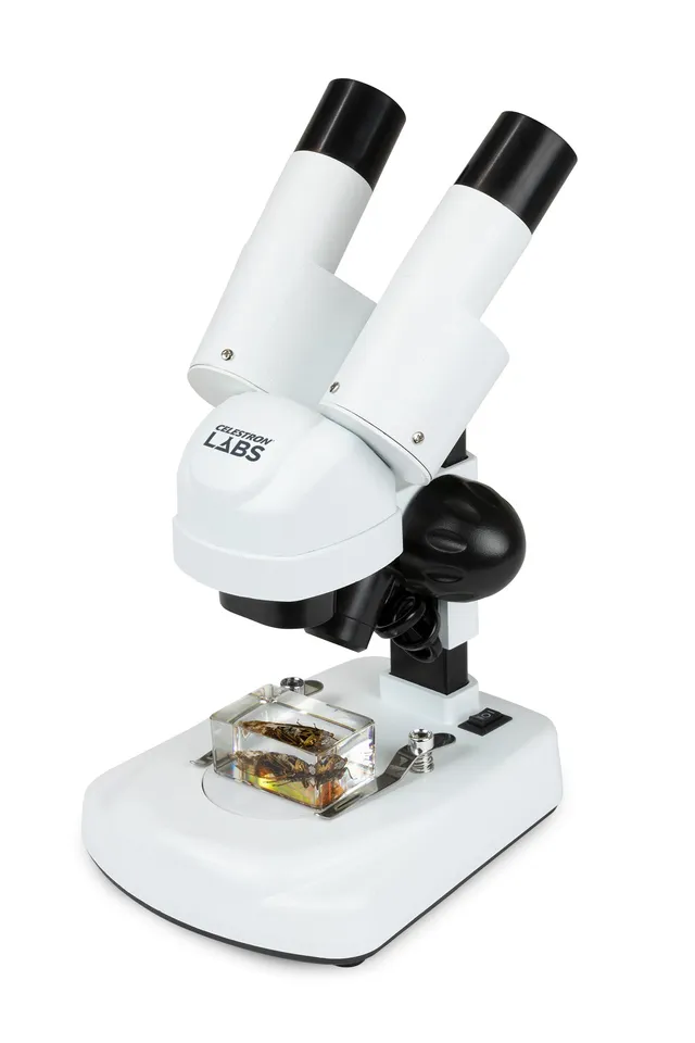Celestron Labs S20 Stereo Mikroskop 20x LED abgewinkelt