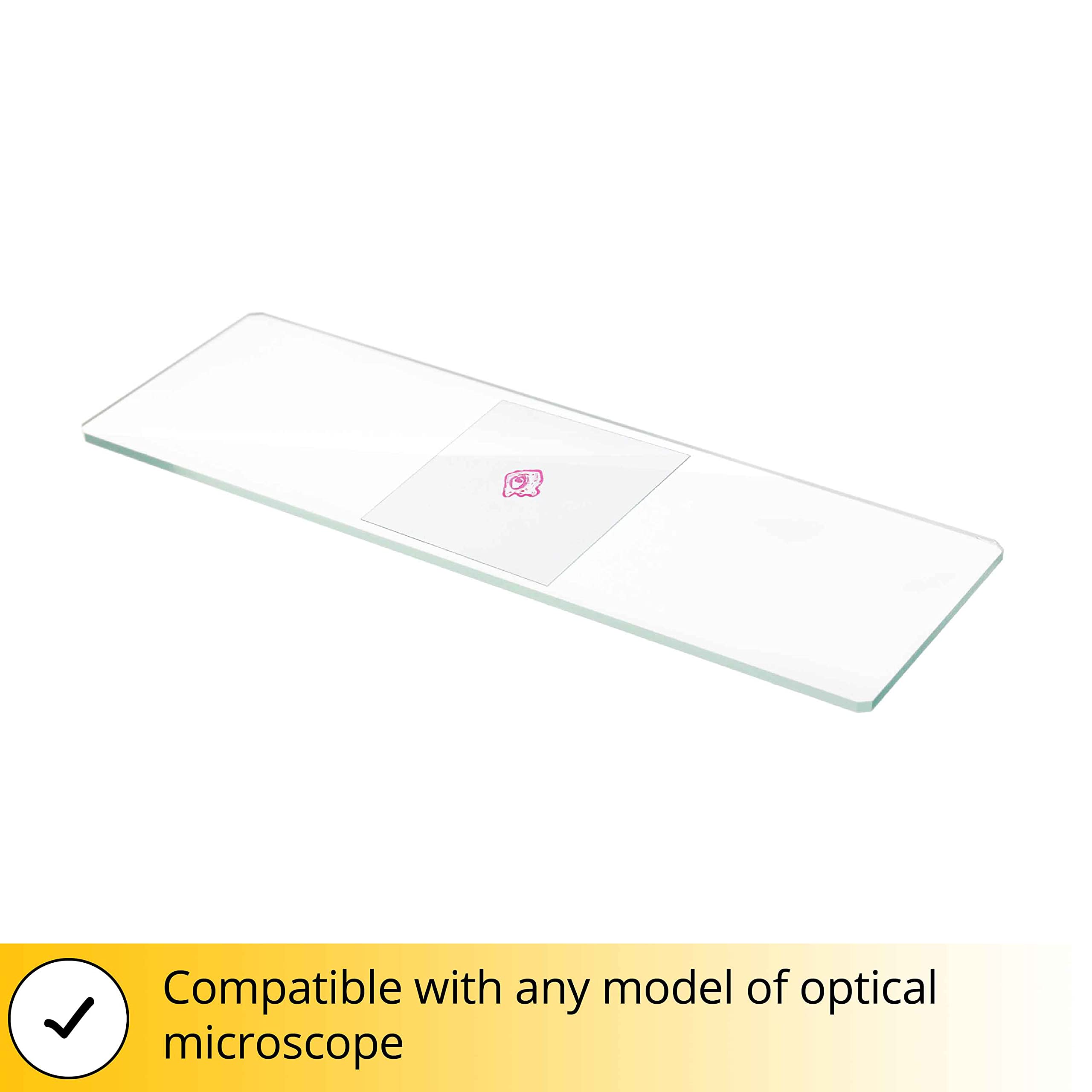 Discovery Deckgläser 100 Stück 24x24mm Glas