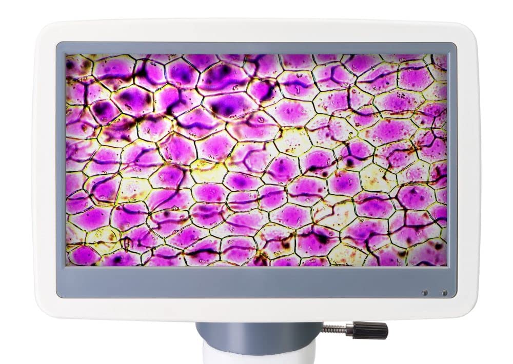 Levenhuk D85L LCD Digitalmikroskop 40-1600x 7 Zoll