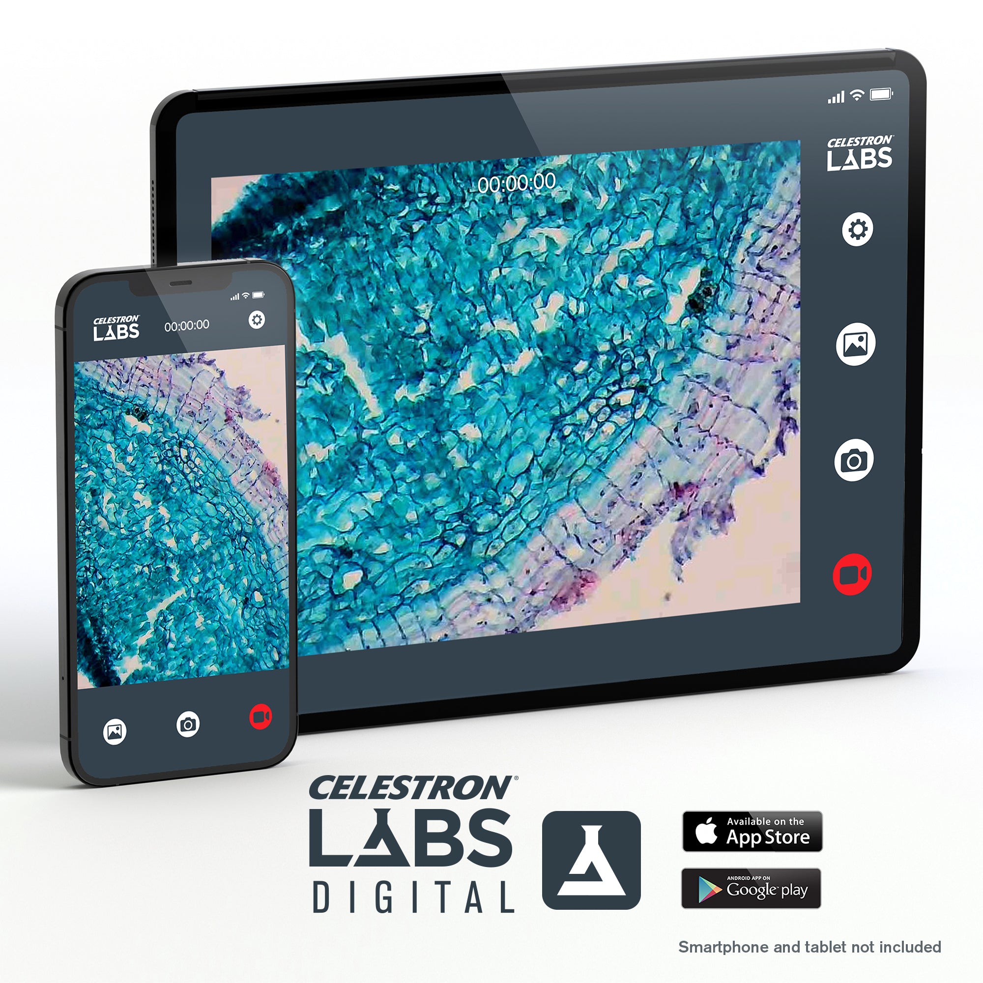 Celestron Labs WLAN-Desktop-Mikroskop Digital 480x LED