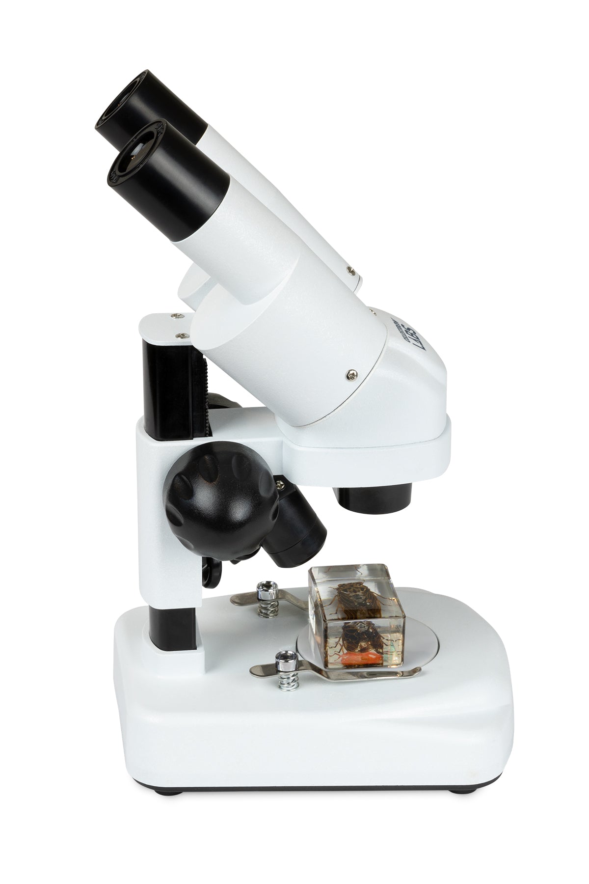 Celestron Labs S20 Stereo Mikroskop 20x LED abgewinkelt