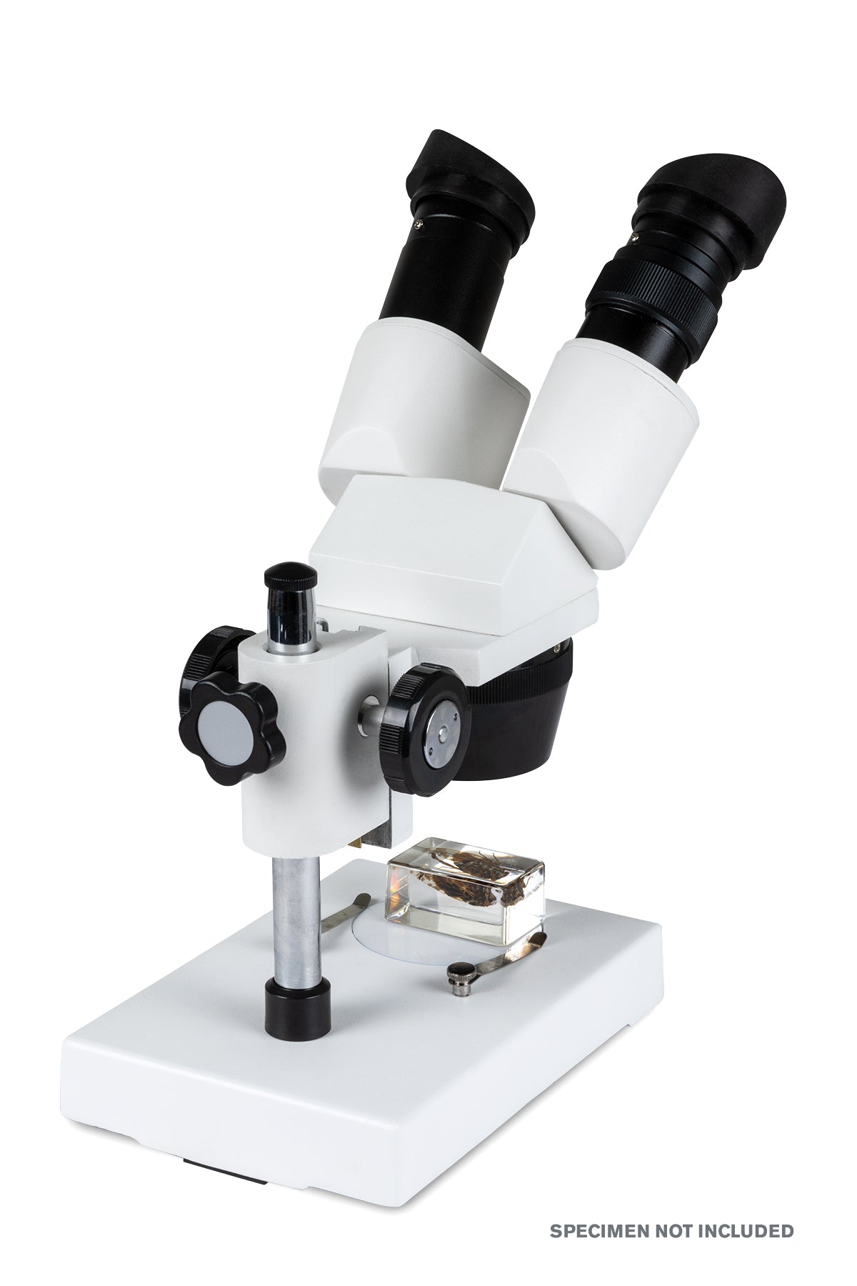 Celestron Labs S1030N Stereo-Mikroskop 10x 30x