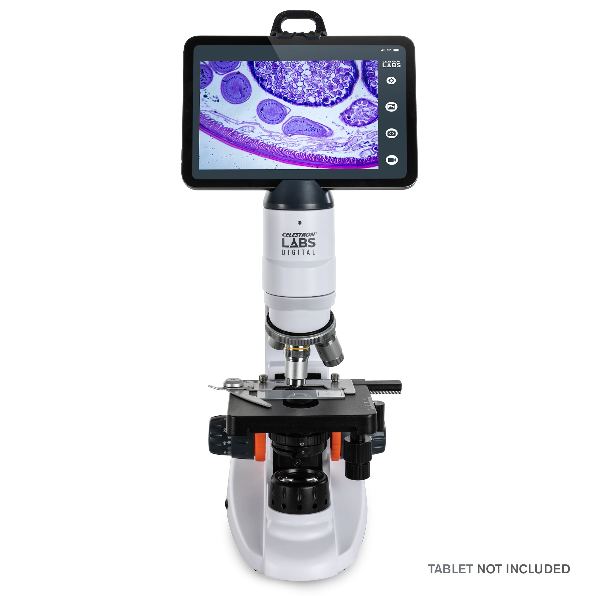 Celestron Labs WLAN-Desktop-Mikroskop Digital 480x LED