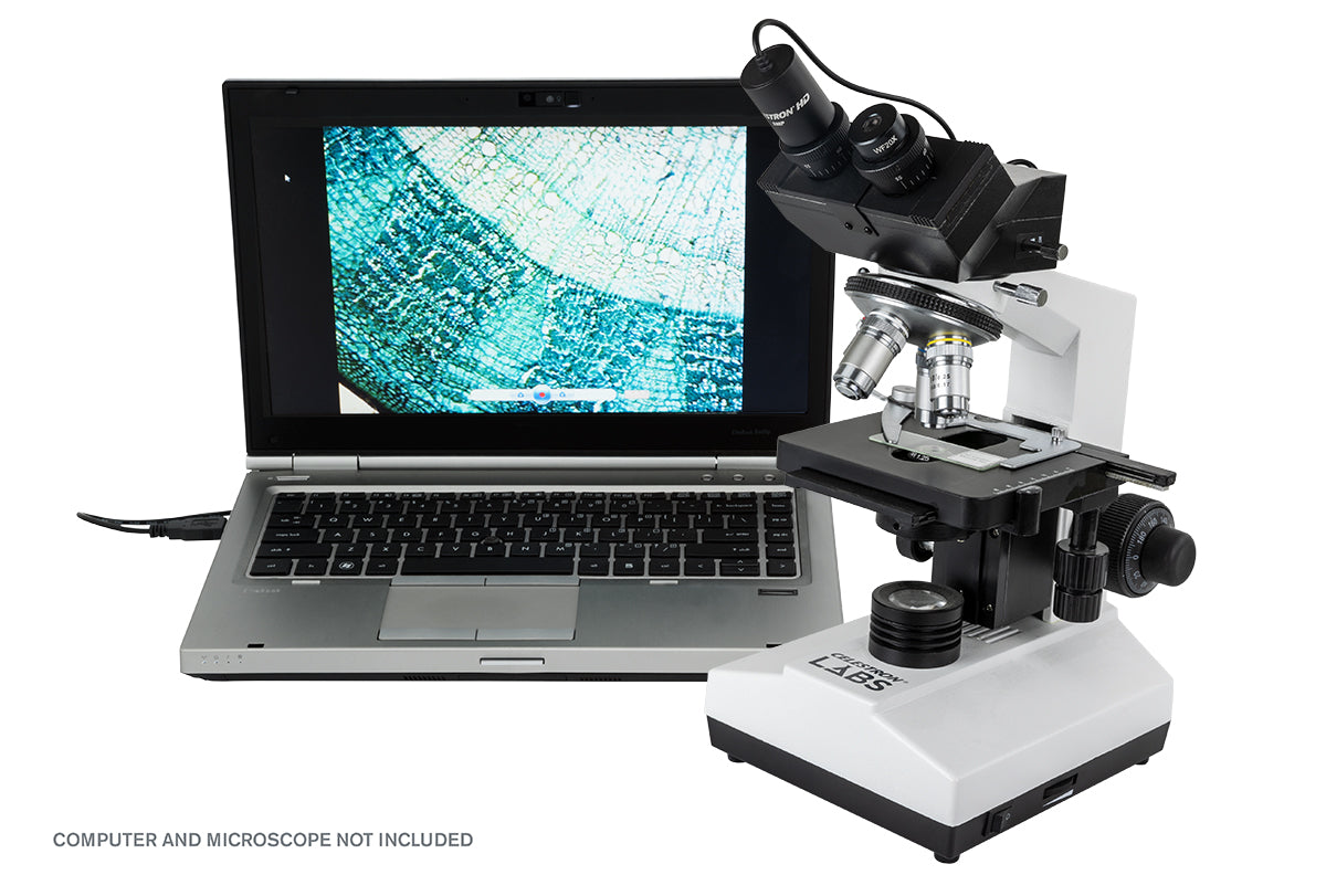 Celestron Labs 5MP Mikroskopkamera USB 5 Megapixel