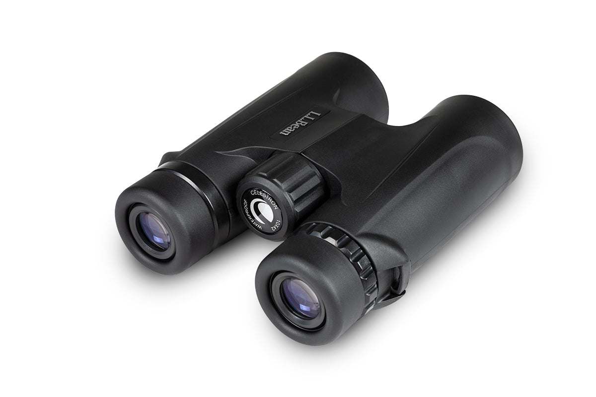 Celestron UpClose Discovery 10x42 Fernglas BaK-4