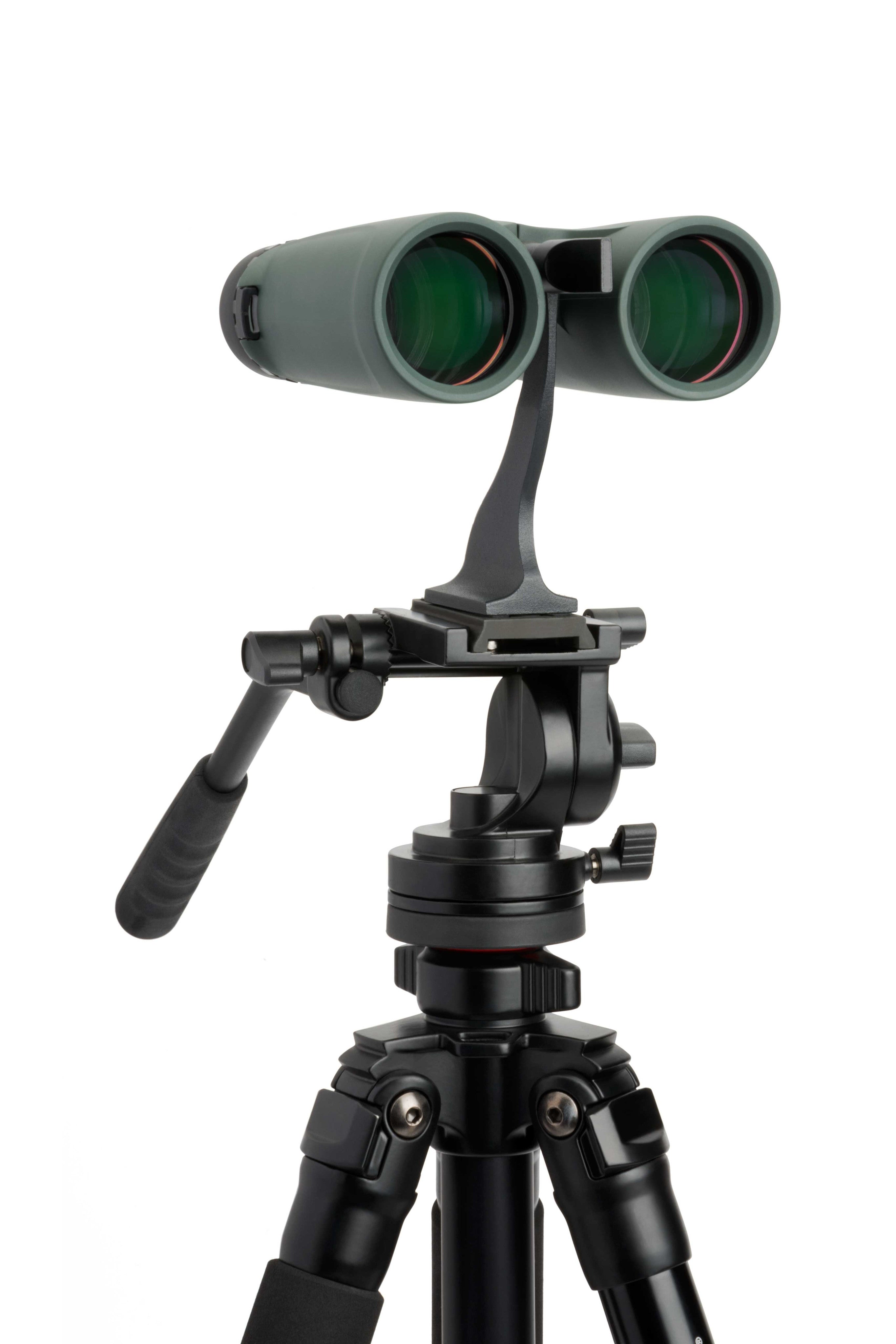 Celestron Outland X 8x42 Fernglas Dachkant Grün