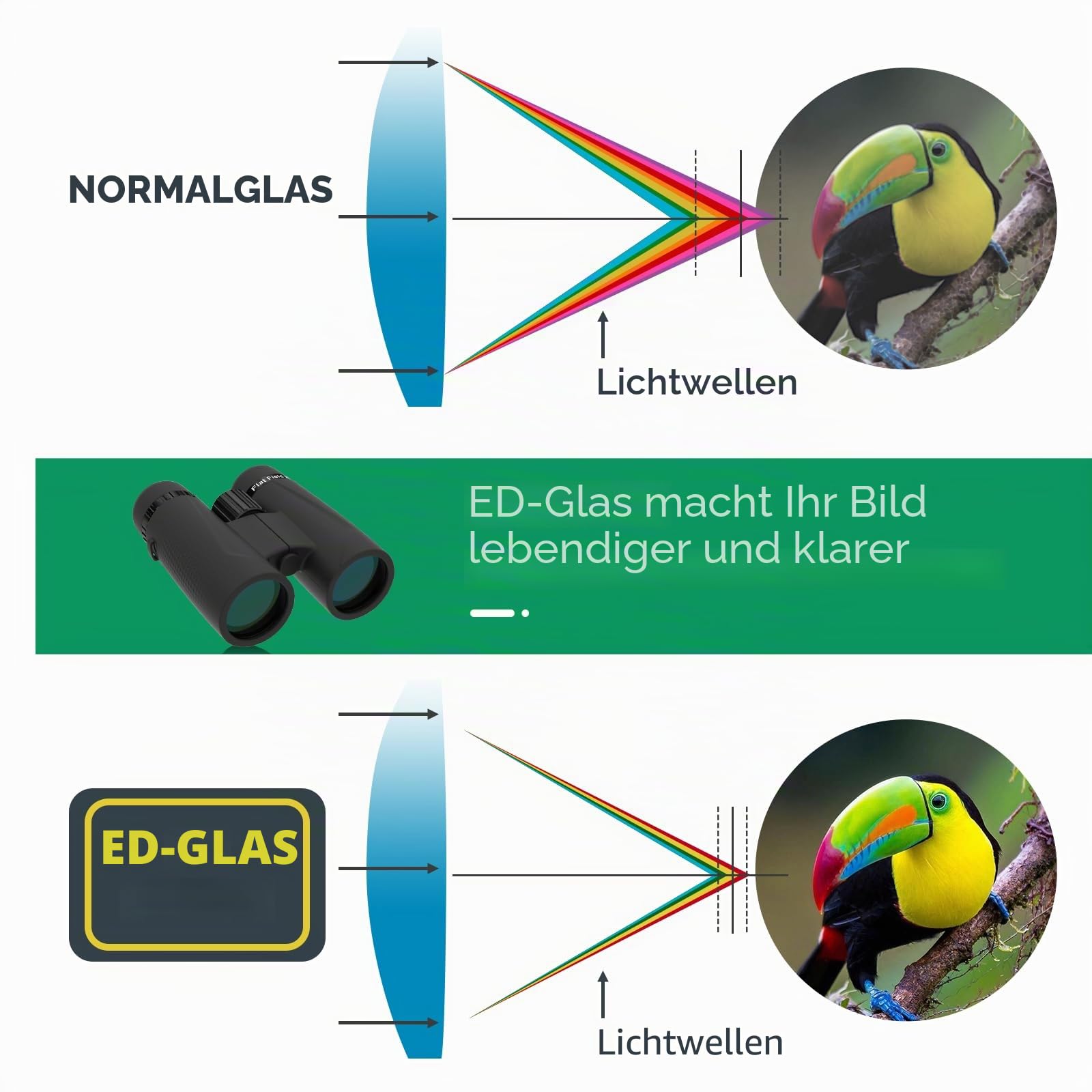 SVBONY SA205 ED Fernglas 8x42 Flat-Field IP67
