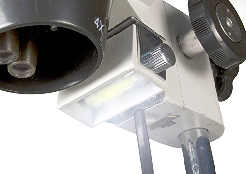 Levenhuk 3ST Stereomikroskop 20-40x 57 mm Arbeitsabstand