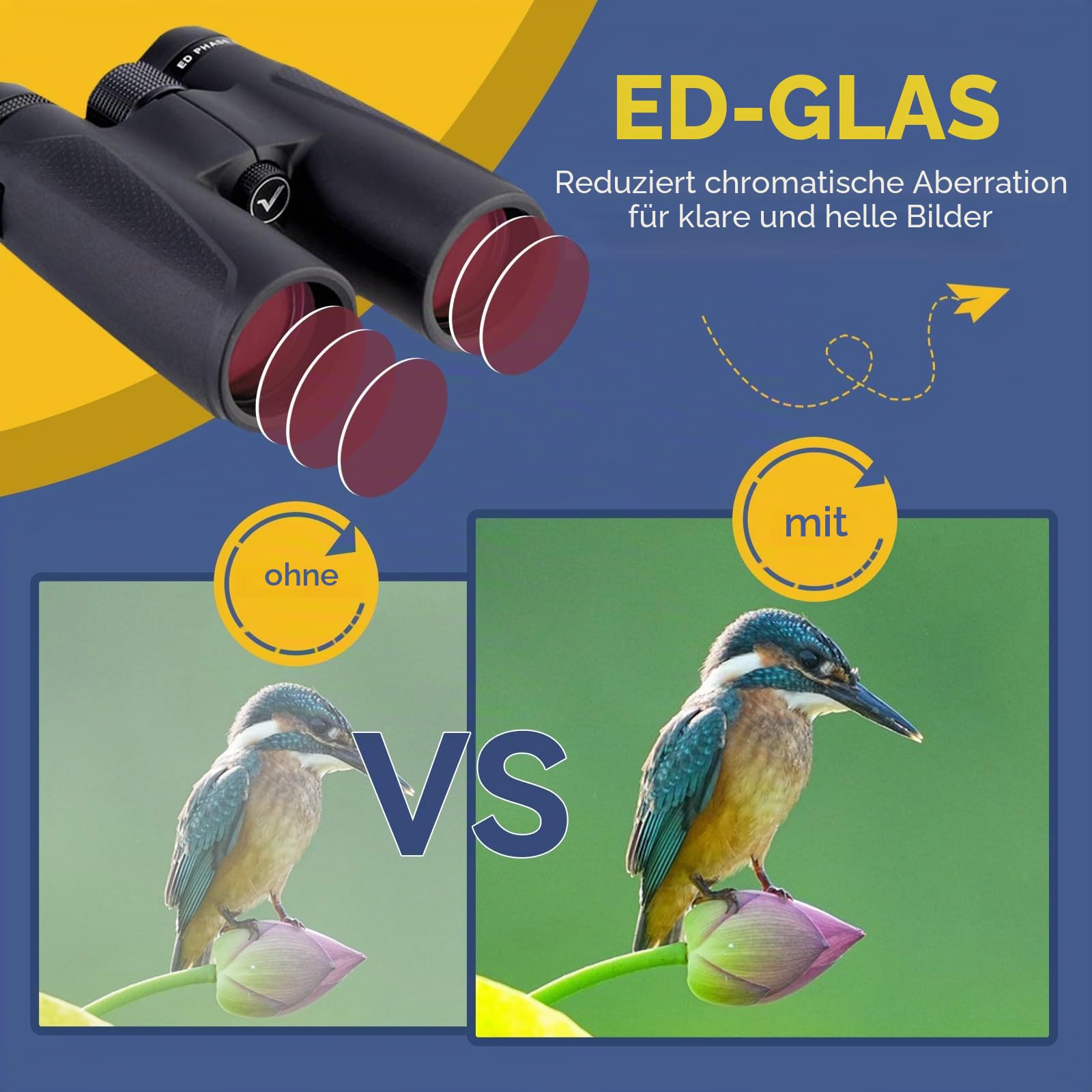 SVBONY SV202 Fernglas 10x42 ED wasserdicht Magnesium