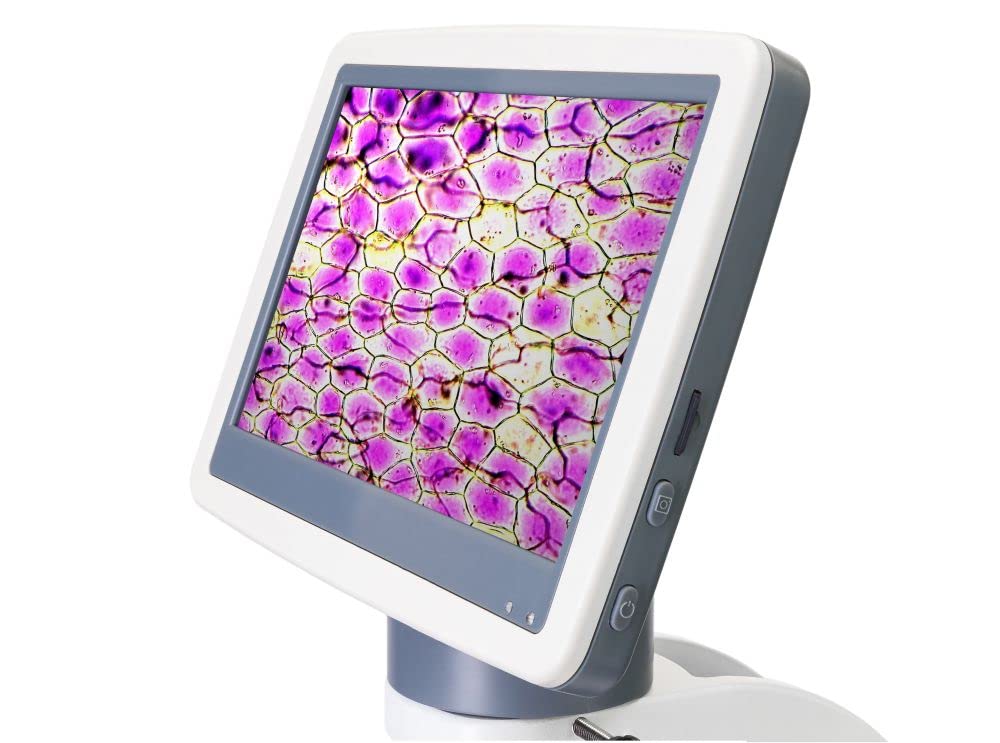Levenhuk D85L LCD Digitalmikroskop 40-1600x 7 Zoll