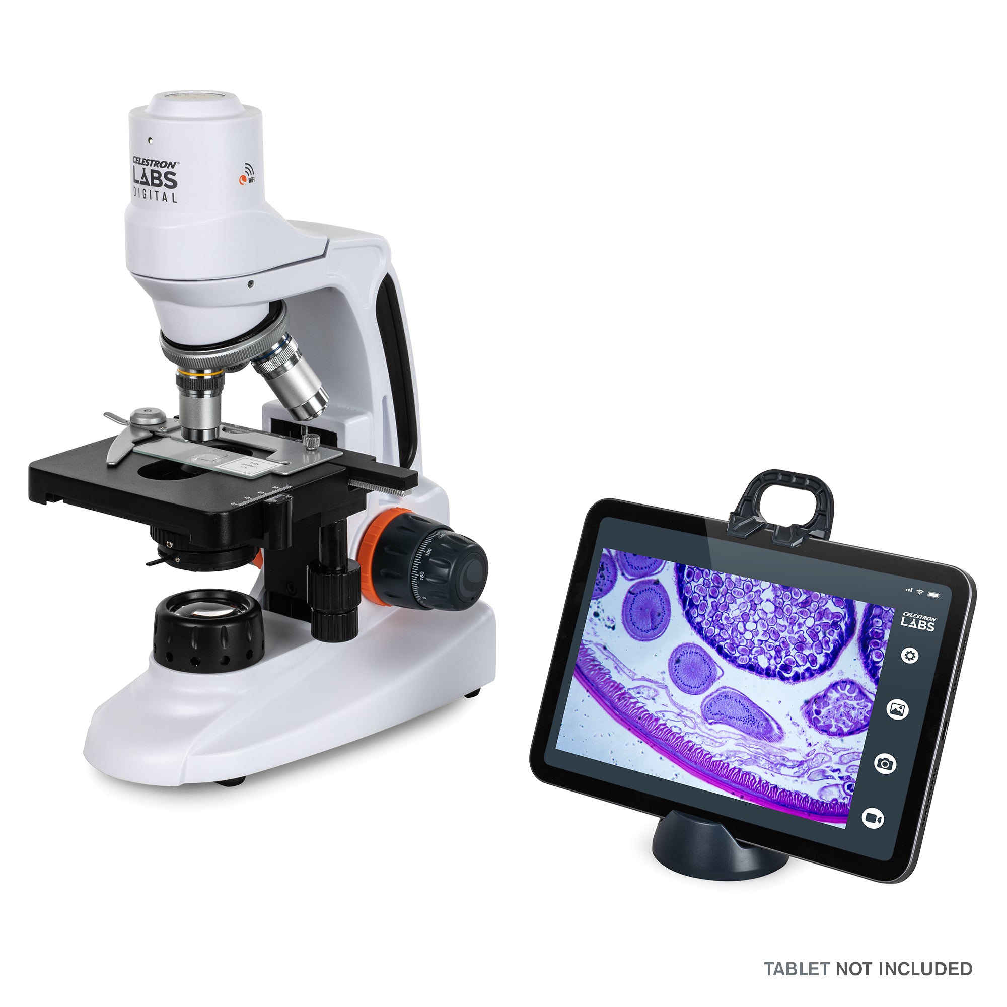 Celestron Labs WLAN-Desktop-Mikroskop Digital 480x LED