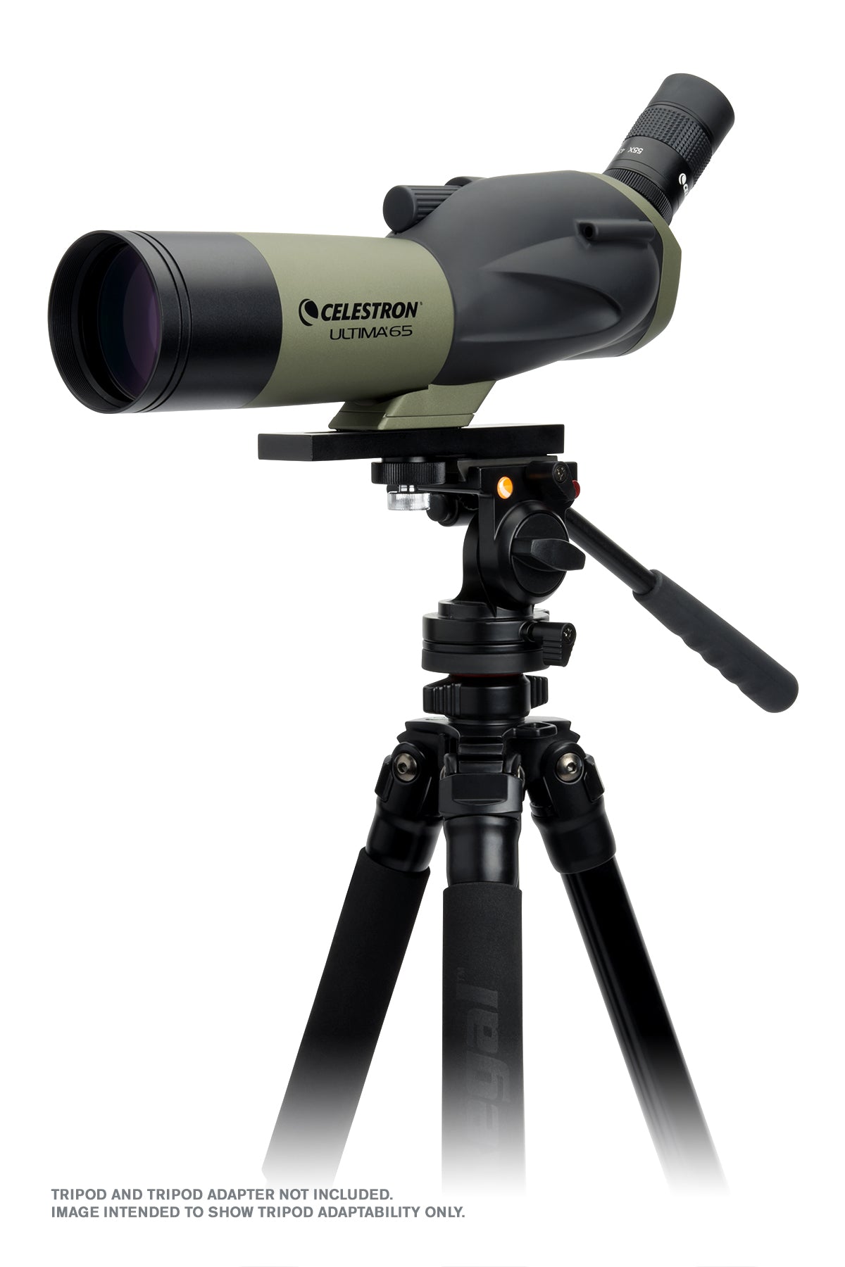 Celestron Ultima 18-55x65 Spektiv gewinkelt mit Smartphone-Adapter