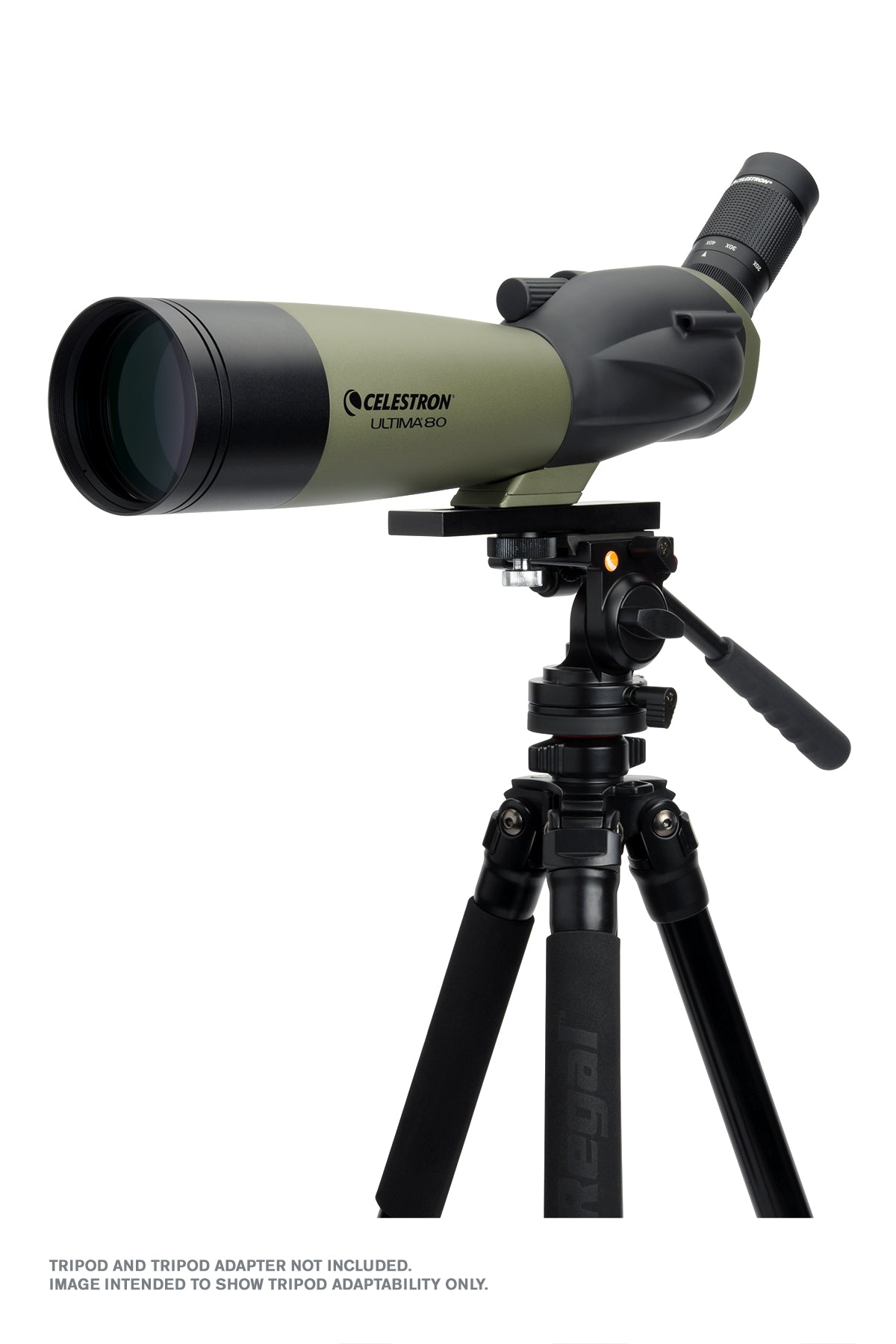 Celestron Ultima 20-60x80 Spektiv gewinkelt mit Adapter