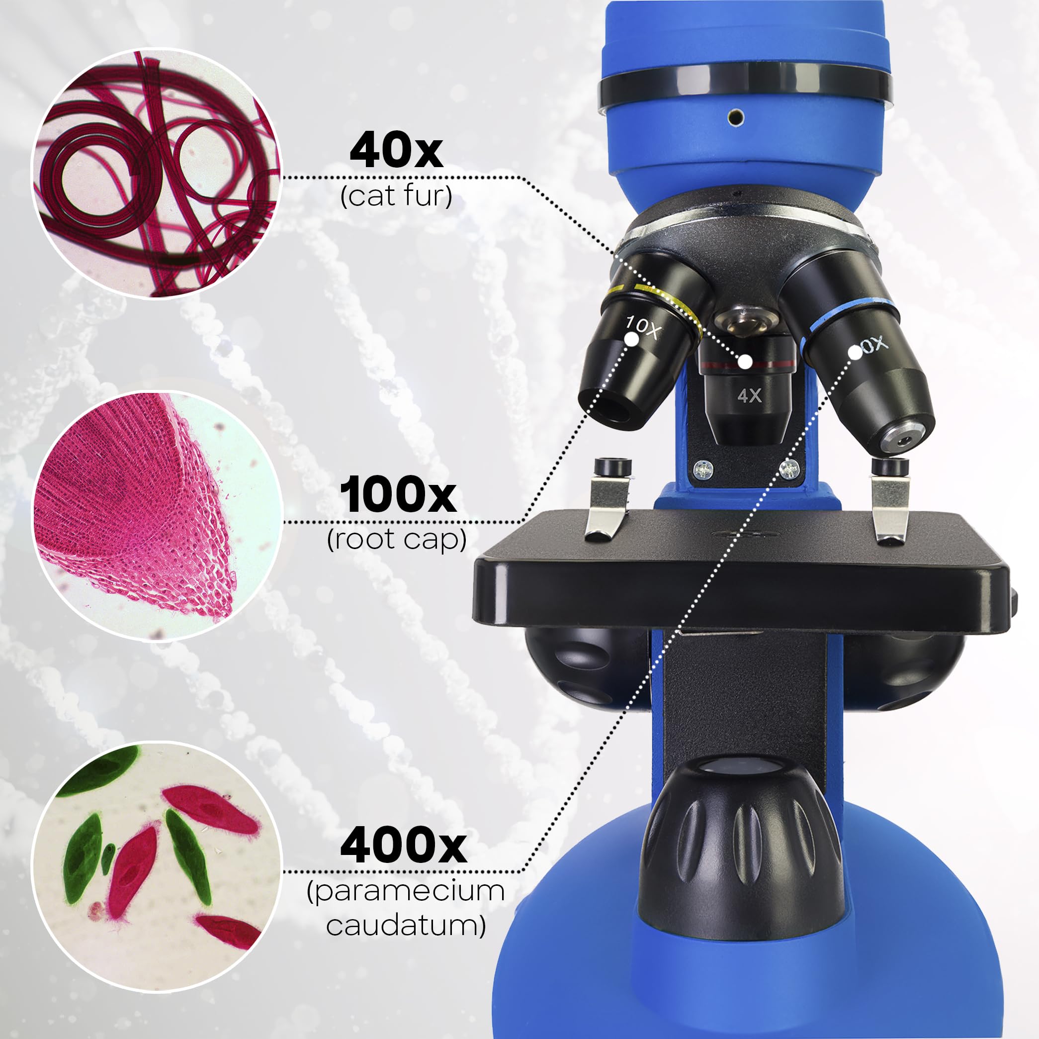 Levenhuk Discovery Nano Gravity Mikroskop 40-400x Englisch