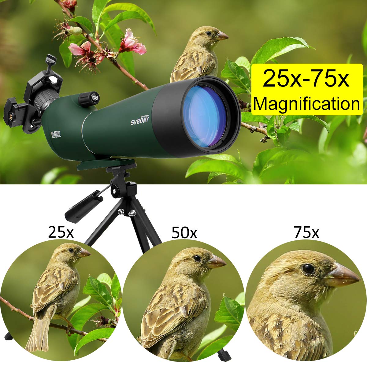 Svbony SV28 HD Spektiv 25-75x70 Grün mit Stativ